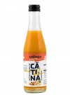 Katinola Nectar Organic de Catina cu Ghimbir 0,25l Katinola Nectar Organic de Catina cu Ghimbir 0,25l